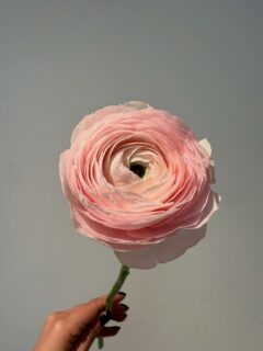 Съботното ни вдъхновение! 🌸