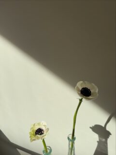 След като вече сме в най-нежния месец, е време и да споделим малко вдъхновение за него, с едно от най-любимите ни пролетни цветя! 
Прекрасни дни от нас! 
.
#anemone