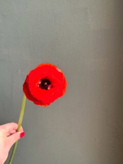 Понеделник е ден за вдъхновение!
Ползотворна и вдъхновяваща да ви е седмицата, приятели!