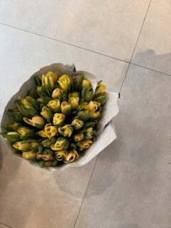 С тези слънчеви и леко чудати лалета си манифестираме топлото време 🌞💛 
#tulips #tulipslover