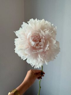 Днес приветстваме юли с доза нежност 🌸
#peony #lussobyborisovi
