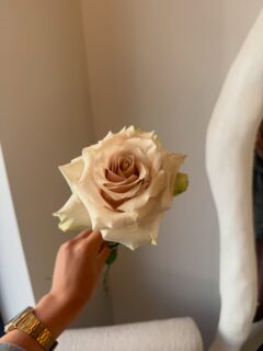 #roses 🌹
