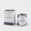 I/TEMS - 02 / LAVENDER