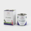 I/TEMS - 05 / FIG LEAVES