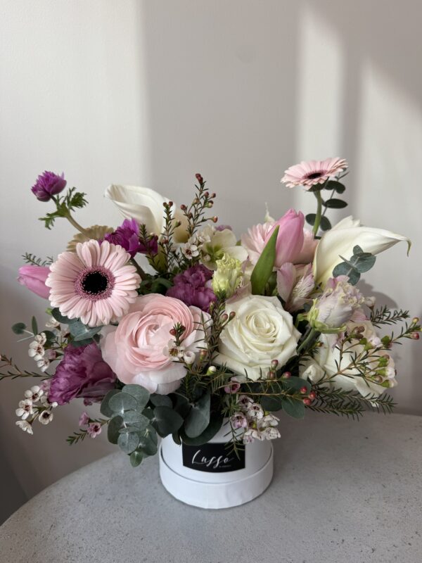 img_9400 Silky Cream